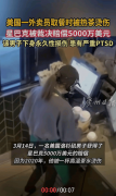 为这位须眉的下身被永世性烫伤