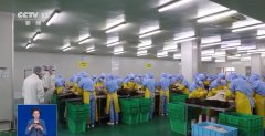 并正在全国范畴内摆设开展分析管理行
